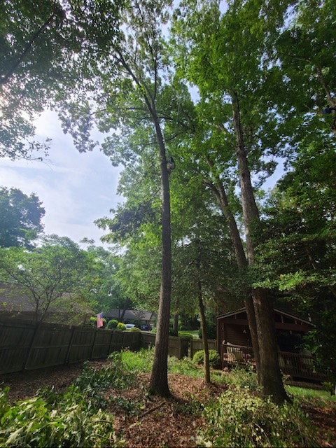 Arbor Improvements of Spartanburg, SC