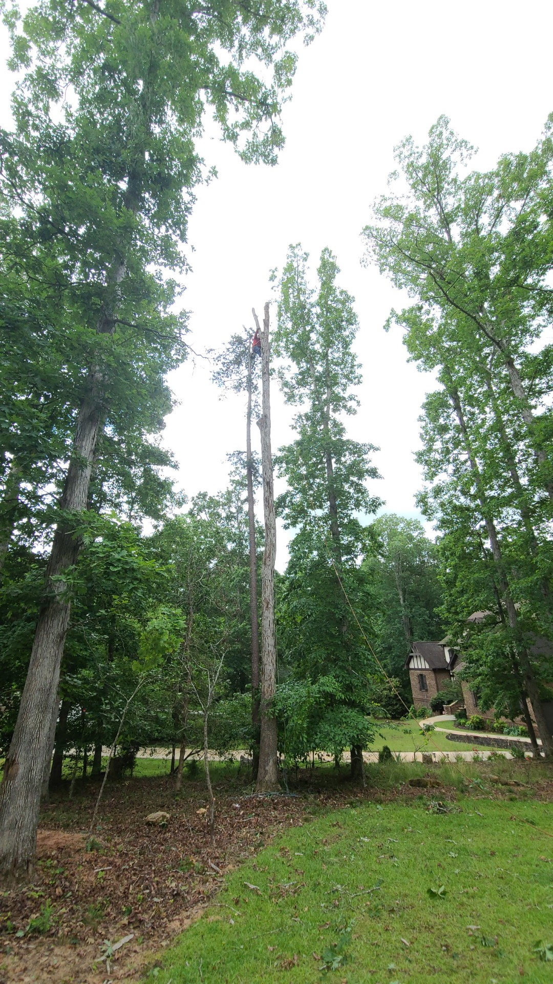 Arbor Improvements of Spartanburg, SC