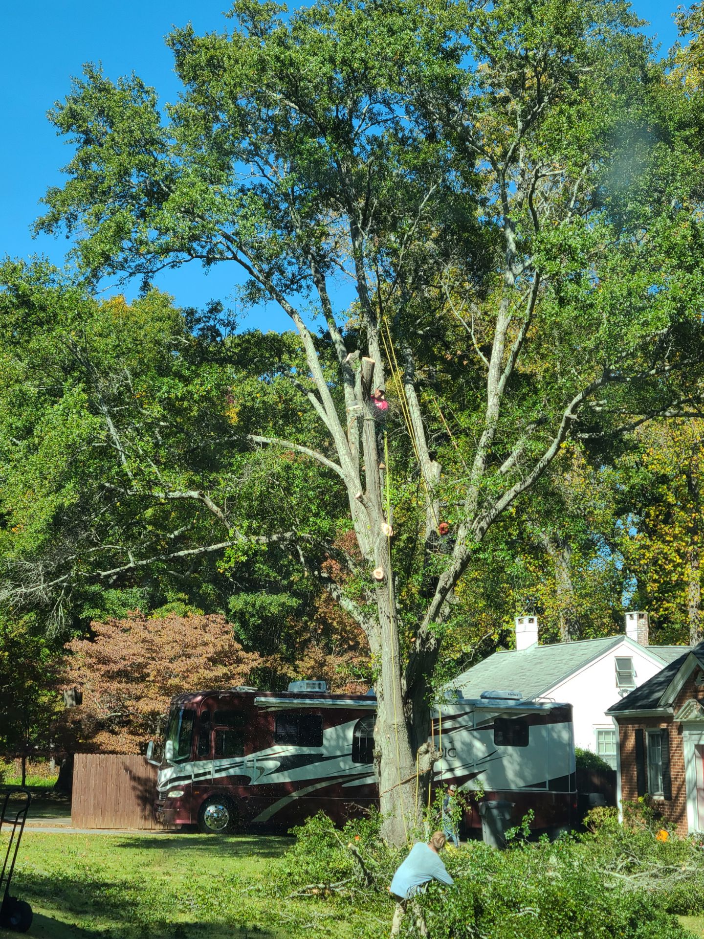 Arbor Improvements of Spartanburg, SC