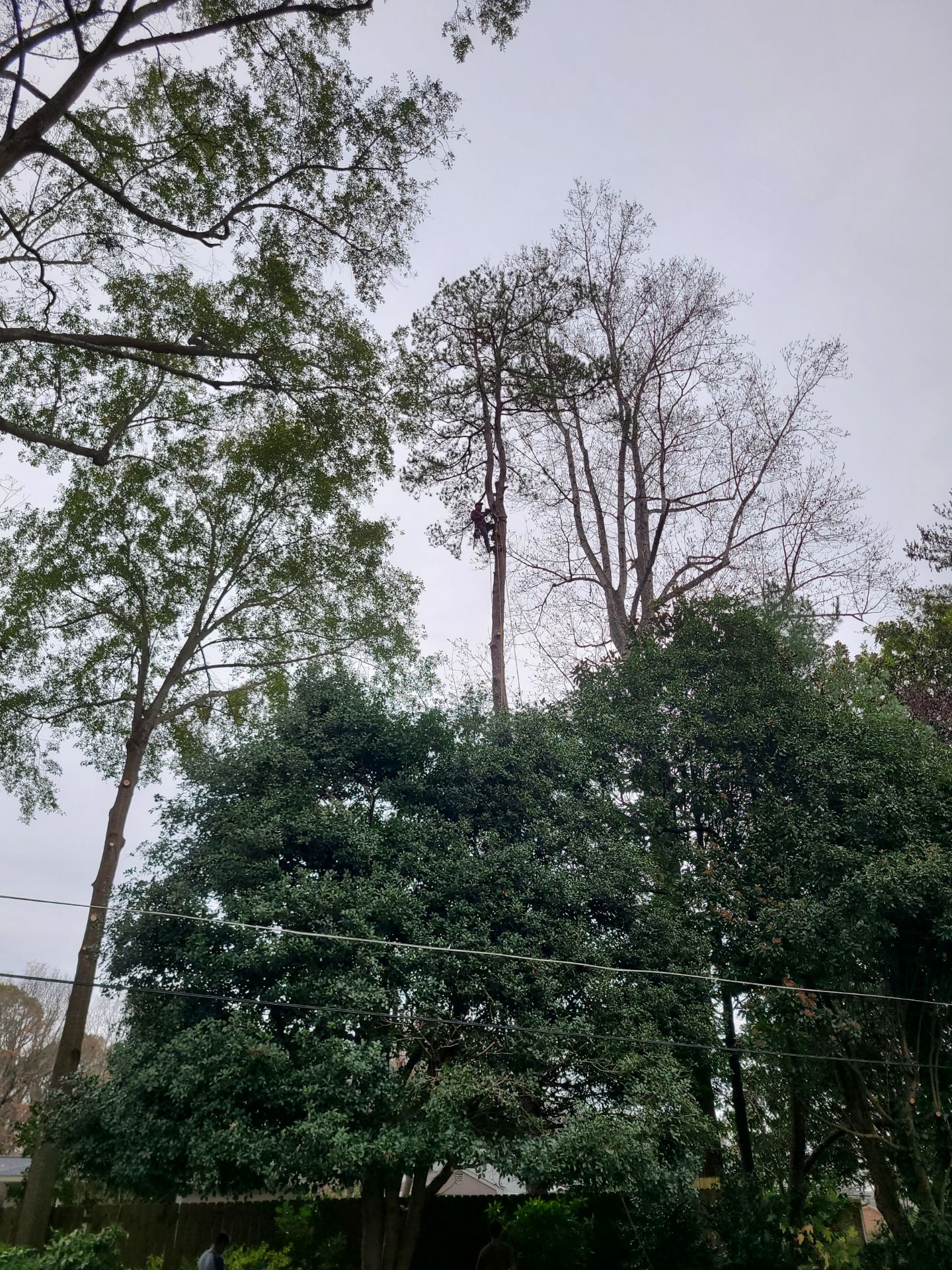 Arbor Improvements of Spartanburg, SC