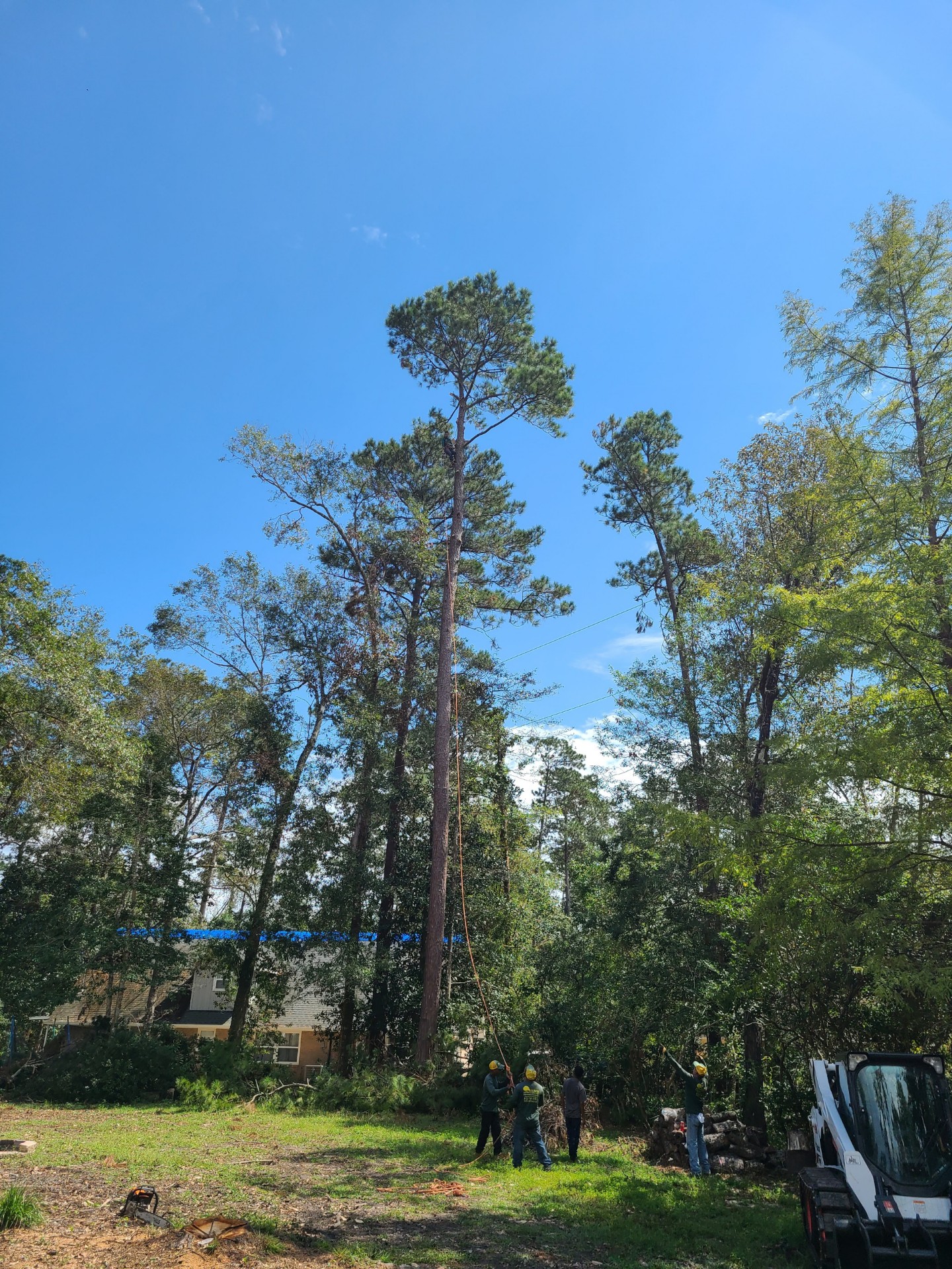 Arbor Improvements of Spartanburg, SC