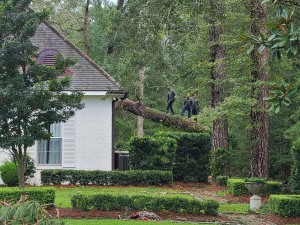 Arbor Improvements of Spartanburg, SC